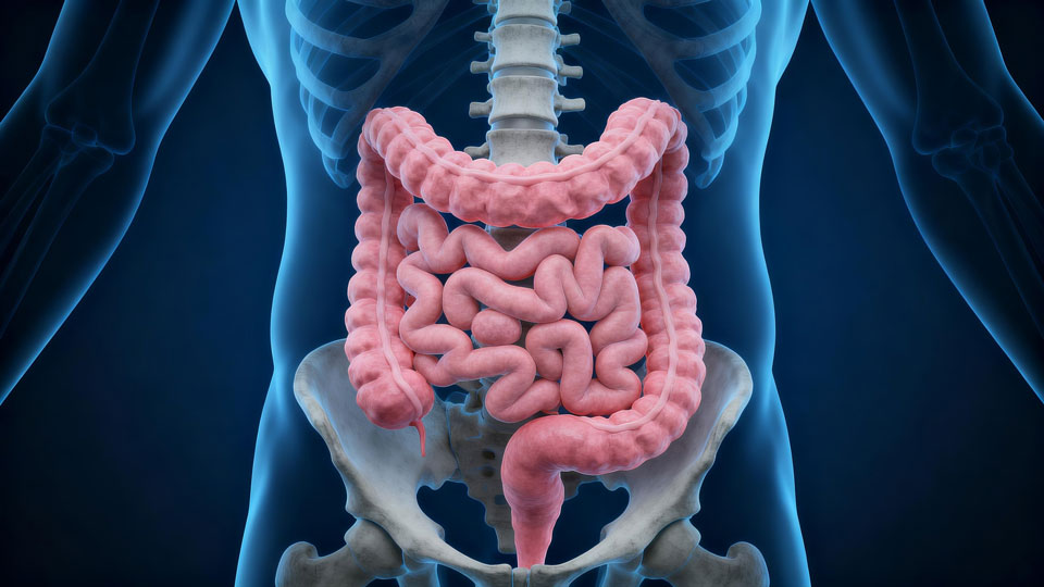 Herbal Colon Therapy